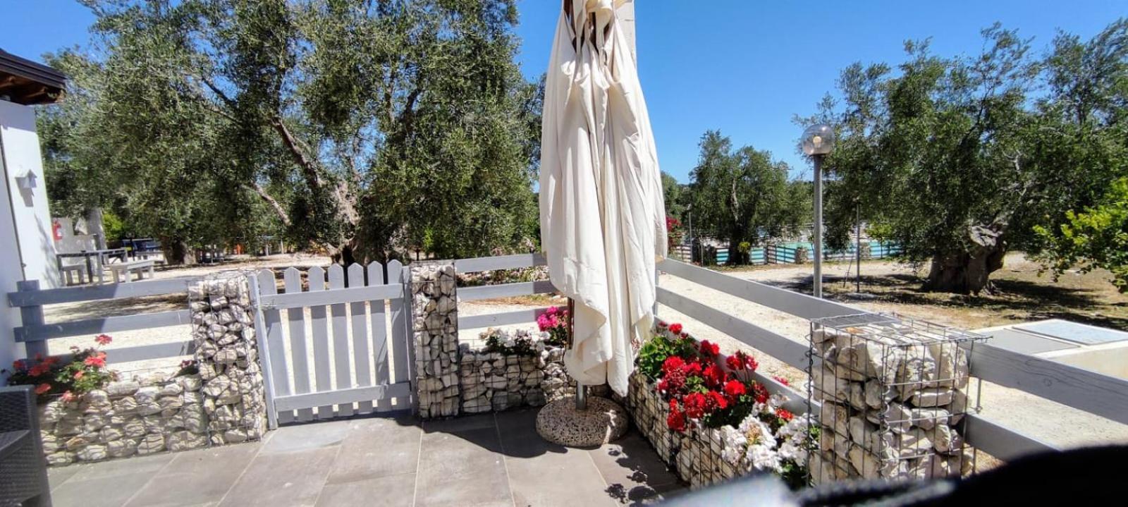 Agriturismo Passione Natura 비에스테 외부 사진